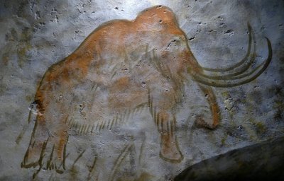 アルタミラ洞窟で発見された洞窟壁画（写真） 作： Leopold Blonder