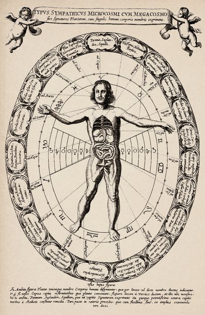 小宇宙と大宇宙の対応。アタナーゼ・キルヒャー（1601-1680）の「Mundus subterraneus」より抜粋。 作： Unbekannter Künstler