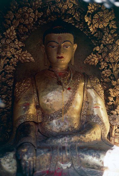 仏像のある地下室、スワヤンブナート（猿の寺）、カトマンズの谷（ユネスコ世界文化遺産 作： William M. Timlin