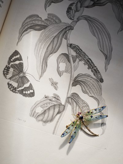 マリア・シビラ・メリアンの「Metamorphosis Insectorum」の上にあるDeborah Devonshireの虫と昆虫のジュエリー 作： Thomas Kelly