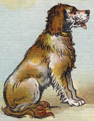 犬。Alphabet de ma petite fille "の中のエングレーヴィング。Bernardin-Bechet and Fils, bookseller-publishers, Paris, around 1895.壊れないアルバムをキャンバスに。Bibliotheque des Bebes（ビブリオテック・デ・ベベ）。12ページ。読書法とイラスト入りのアベコベが入ったアルバム。薄さ：29.5 作： Unbekannt