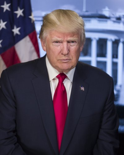 ドナルドトランプ、2016年 作： Unbekannt