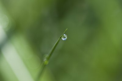 水滴（写真） 作： Unbekannter Künstler