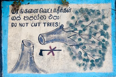 伐採された木と十字の斧を描いた「"Do not cut trees"」のペイントサイン；ヌワラエリヤ；スリランカ；アジア 作： Unbekannt