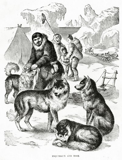 エスキモーと犬。1902年（リトグラフ 作： Unbekannt