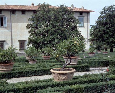 ヴィラ・メディケア・ディ・カステッロの外観と庭園（写真 作： Unbekannt
