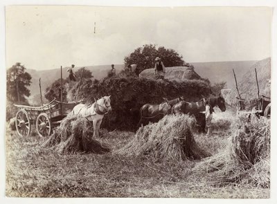 農作業風景、収穫と貯蔵、1900年以前の収穫、1890年頃 作： Unbekannt