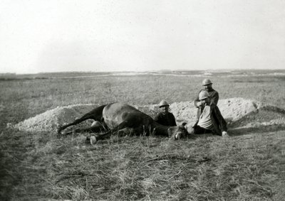 第一次世界大戦 14-18 (1914-1918): 3人のフランス兵が死んだ馬を埋葬する - ガラス版写真 作： Unbekannter Künstler