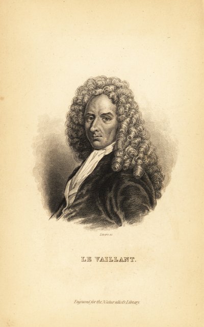 Francois le Vaillant or Levaillant, フランスの作家、探検家、自然主義者、鳥類学者 作： Unbekannt