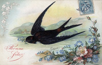 ハッピーバースカード。花を運ぶツバメ - 1906年のポストカード 作： Unbekannt