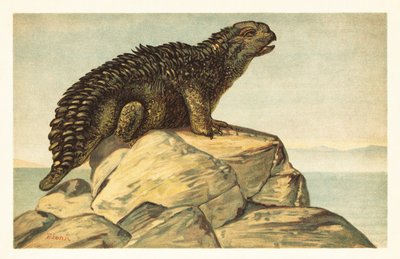 Hylaeosaurus armatus、絶滅した草食性のアンキロサウルス恐竜 1908 年 (リトグラフ) 作： Unbekannter Künstler