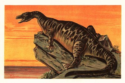 イグアノドン bernissartensis、イグアノドンの絶滅種 dino1908 (リトグラフ) 作： Unbekannter Künstler