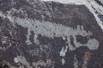 動物を表すインディアンのペトログリフ - ペトログリフ国定公園 - 米国ニューメキシコ州アルバカーキ (USA) 作： William M. Timlin