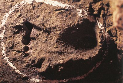 イタリア、リグーリア州、トイラーノの石窟、先史時代の狩人の足跡 作： Benjamin Baud