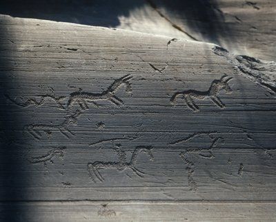 イタリア、ロンバルディア州、カモニカ渓谷、岩に刻まれたペトログリフ 作： Benjamin Baud