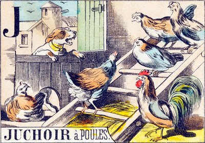 J Juchoir a poules - "Alphabet of the farm" 19世紀末 (エングレーヴィング) 作： Unbekannt