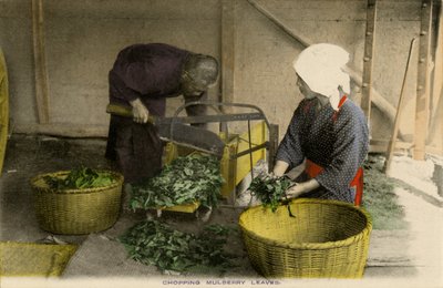 桑の葉を切る日本人労働者 作： Unbekannter Künstler