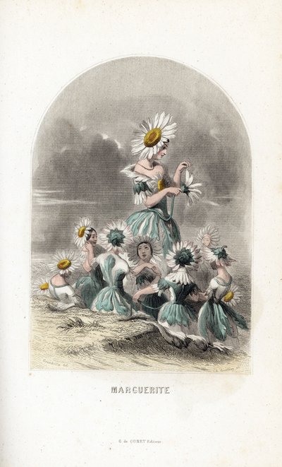 ジャン・イグナス・イジドール・ジェラール・ディット・J.J.グランヴィル（1803-1847）の「Les fleurs animees」の挿絵をもとに、シャルル・ジョフロワ（1819-1882）が描いた「Les fees des daisies des pres」。 作： Unbekannter Künstler