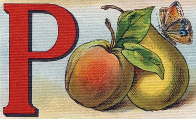 ピーチ、ペア、バタフライなどの文字P。Alphabet de ma petite fille "のエングレーヴィング。Bernardin-Bechet and Fils, bookseller-publishers, Paris, around 1895.壊れないアルバム、キャンバスBibliotheque des Bebes.12ページ。朗読法と絵本の入ったアルバム 作： Unbekannt