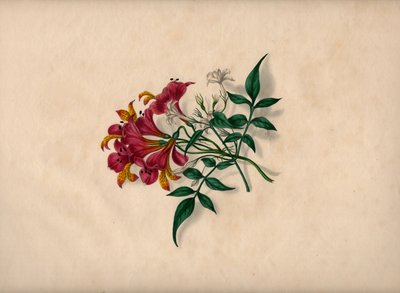 百合の花（彩色済み彫刻 作： Unbekannt