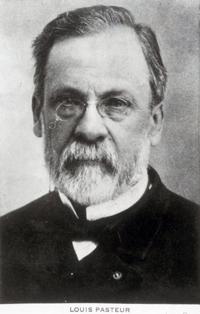 ルイ・パスツール、フランスの化学者、微生物学者、1885年頃 作： Unbekannter Künstler