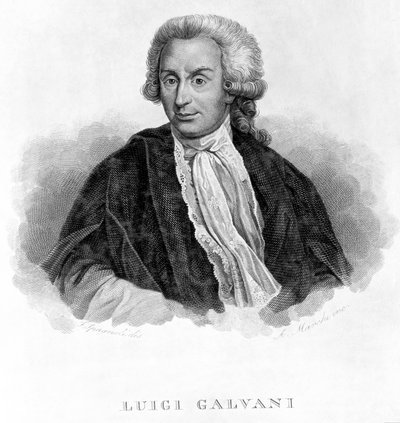 ルイジ・ガルヴァーニ、イタリアの生理学者、1770年代頃 作： Unbekannt