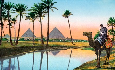 ラクダに乗ってギゼのピラミッドを眺める男、1900年頃（クロモリト） 作： Unbekannter Künstler