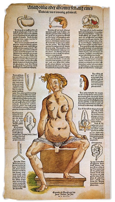 医学：ルネサンス時代の医学書に描かれた、女性の解剖学的構造。座っている女性の姿の周りに、肝臓、肺、横隔膜、胃、生殖器などの重要な臓器がリストアップされ、図解されている。カラー版画 作： Unbekannter Künstler