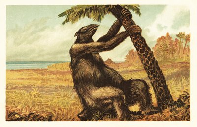 ヤシの木を引っ張るメガテリウム・アメリカヌム.1908年（リトグラフ） 作： Unbekannter Künstler