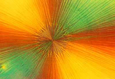 顕微鏡写真（光） アスコルビン酸、光顕微鏡写真 作： Unbekannt