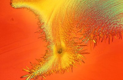 顕微鏡写真 (光) ケイ酸ナトリウム、光学顕微鏡写真 作： Unbekannter Künstler