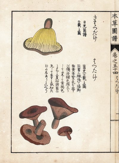 キノコ：乳前子（食用）の種類 - 岩崎嘉年（1786-1842）の版画（本草図譜より 作： Unbekannter Künstler