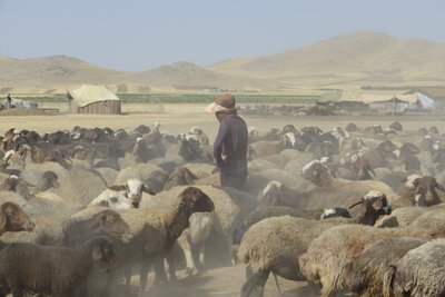 Nomadic tents between Tamar and Ashkhaneh, Iran 2022 (photography)   1440119   ja       japanese Successfully Translated  Original: Abbotsbury Abbey, Dorset, England Translat: Abbotsbury Abbey, Dorset, England 1442910 ja japanese Successfully Translated Or 作： Unbekannter Künstler