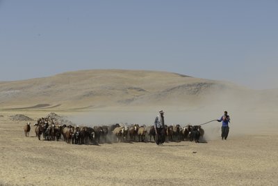 タマールとアシュハネの間の遊牧民のテント、イラン、2022年（写真） 作： Unbekannter Künstler