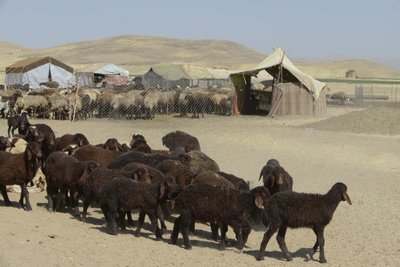 タマールとアシュハネの間の遊牧民のテント、イラン、2022年（写真） 作： Unbekannter Künstler
