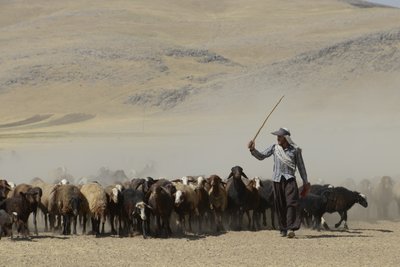 タマールとアシュハネの間の遊牧民のテント、イラン、2022年（写真） 作： Unbekannter Künstler