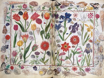 アルバムからのページフィリップ・ハインホーファーのアミコルム、1596-1633 作： Unbekannt
