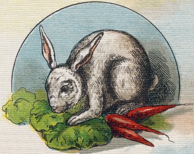 ニンジンを食べるウサギ。Alphabet de ma petite fille "に掲載されたエングレーヴィング。Bernardin-Bechet and Fils, bookseller-publishers, Paris, around 1895.キャンバス地の割れないアルバム。Bibliotheque des Bebes.12ページ。読み方とイラストの入ったアルバム。 作： Unbekannt