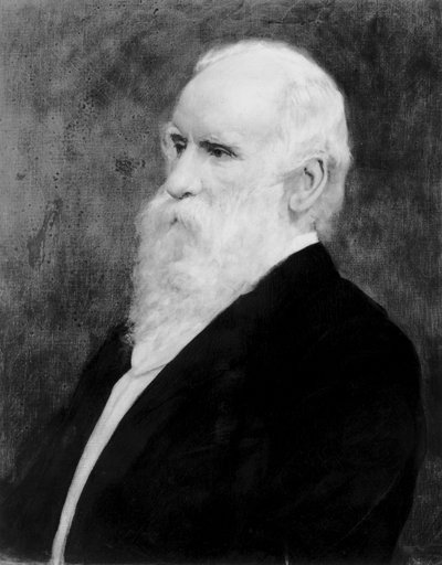 ロバート・スターリング・ニューオール、イギリスのエンジニア、天文学者、1875年頃 作： Unbekannt