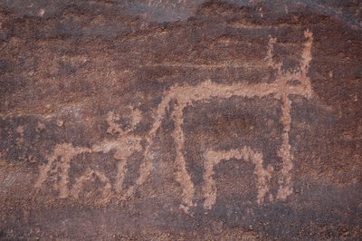 ロックアート、先史時代。エジプト、ウワイナット山地の牛とその子牛の彫刻。(紀元前8000年から3000年の時代）。)写真 作： Unbekannt