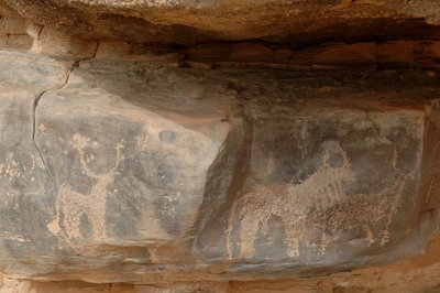 ロックアート、先史時代スーダン、ウワイナット山塊の3頭の牛の彫刻（Karkur-TalhまたはKarkur Talh）。紀元前8000年から3000年の時代。写真 作： Unbekannt