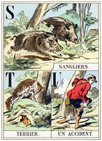 S T U : Sanglier, Terrier, Un accident - The Hunting Alphabet, c.1890 (carving) 作： Unbekannt
