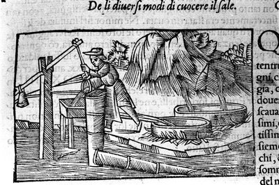 塩の生産：調理スウェーデンの宗教家・地理学者であるオラウス・マグヌス（1490～1557）の版画「Historia de Gentis Septentrionalibus」（ヴェネツィア）。 作： Unbekannt