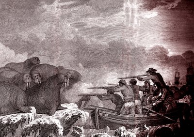 太平洋でのアザラシ狩り 作： Unbekannter Künstler