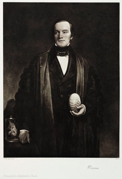 リチャード・オーウェン卿（イギリスの博物学者、古生物学者）1845年頃 作： Unbekannt