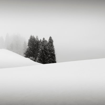 Snowytales オアシス、バイエルン州、ドイツ、2013 年 (白黒写真) 作： Leopold Blonder