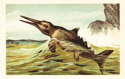 Stenopterygius quadriscissus、絶滅した魚竜.1908 (リトグラフ) 作： Unbekannter Künstler