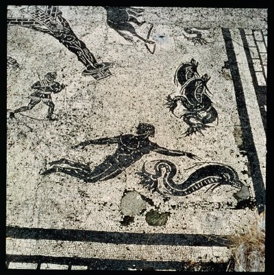 イルカと泳ぐ」（オスティアの浴場のフリギダリウムより、紀元2世紀）（モザイク画 作： Unknown