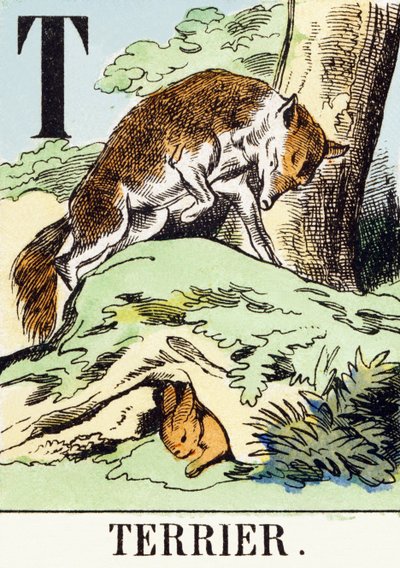T : Terrier - The Hunting Alphabet, c.1890 (e.g. engraving) 作： Unbekannt
