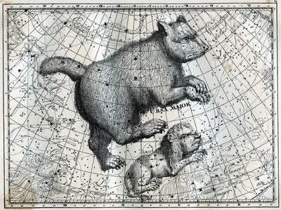 北極圏の星座：大熊と小獅子。カミーユ・フラマリオン著「Les étoiles et les autres curiosites du ciel」からの抜粋 作： Unbekannt
